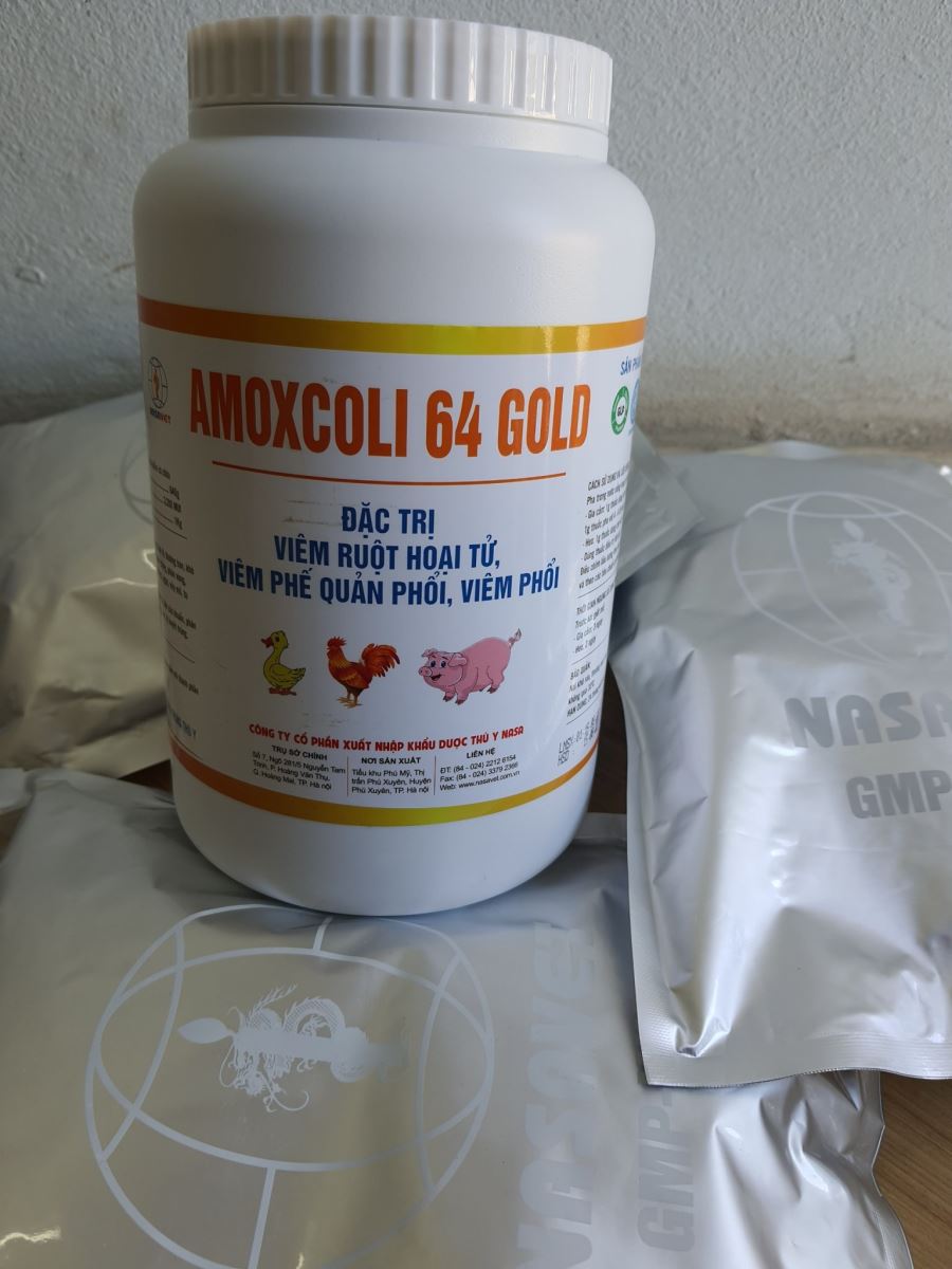 AMOXCOLI 64 GOLD
