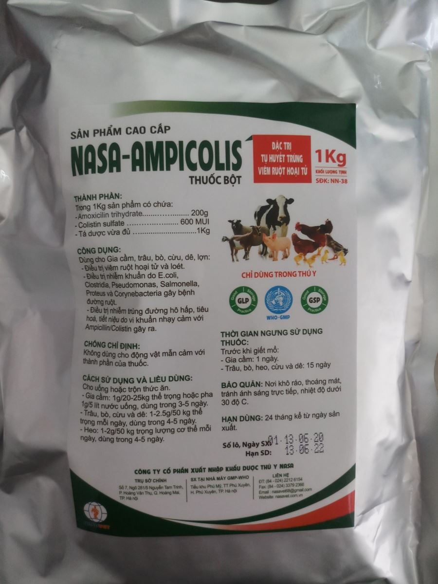 Nasa-Ampicolis