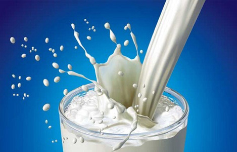 Tháng 2/2019 kim ngạch nhập khẩu sữa và sản phẩm tăng trở lại